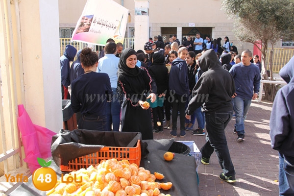 shamela sandouq (48).JPG